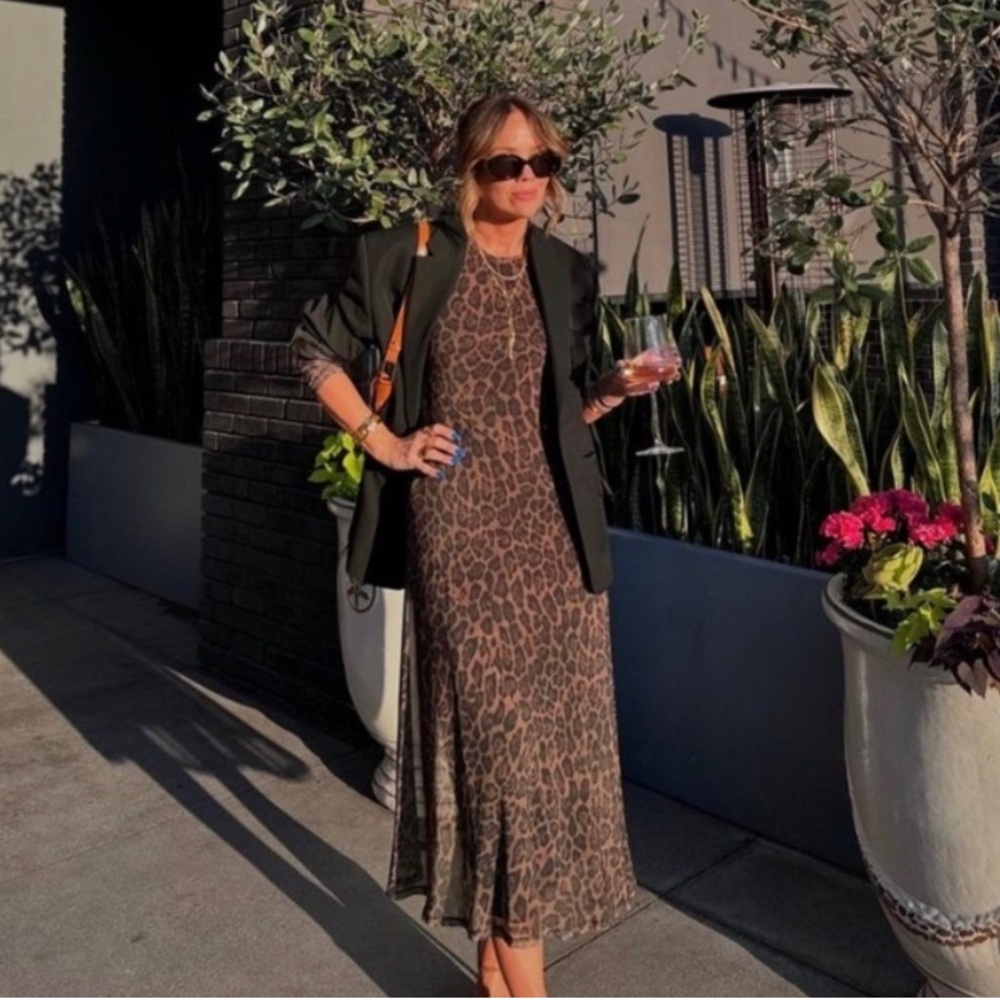 Rachel Zoe || Viral mesh leopard print dress